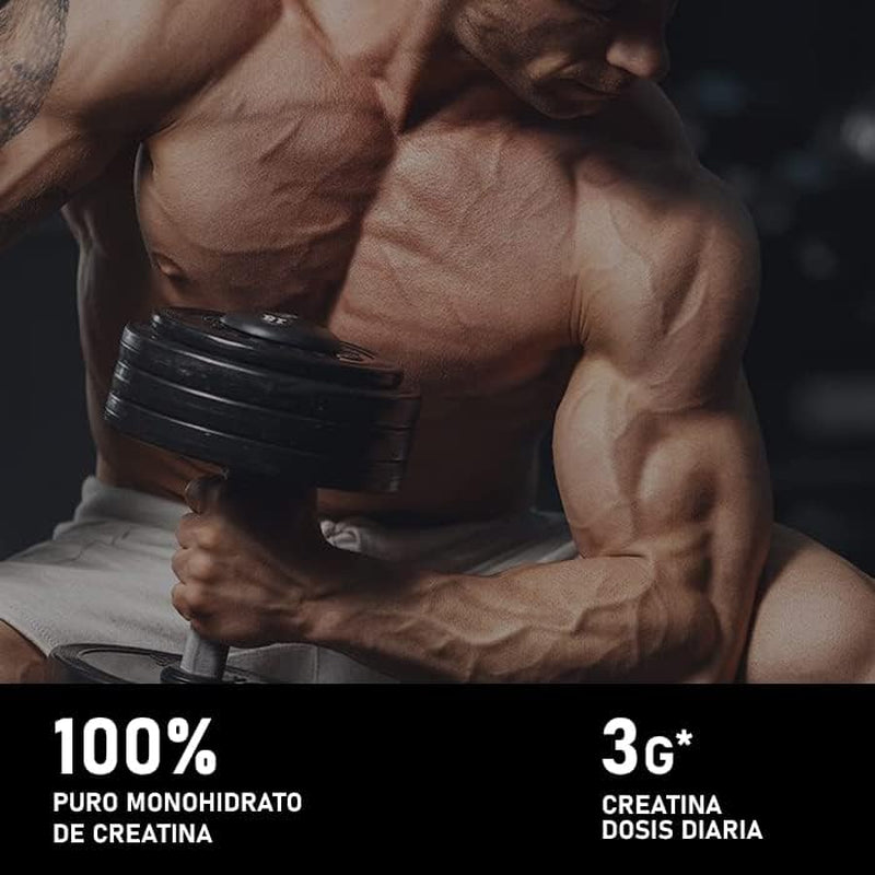 King Nutrition Creatina Monohidratada 100% Pura | 500GR | 166 Tomas | Creatina En Polvo, Micronizada 200Mesh Sin Sabor, No-Gmo | Vegano | Sin Lactosa | Incluye Dosificador