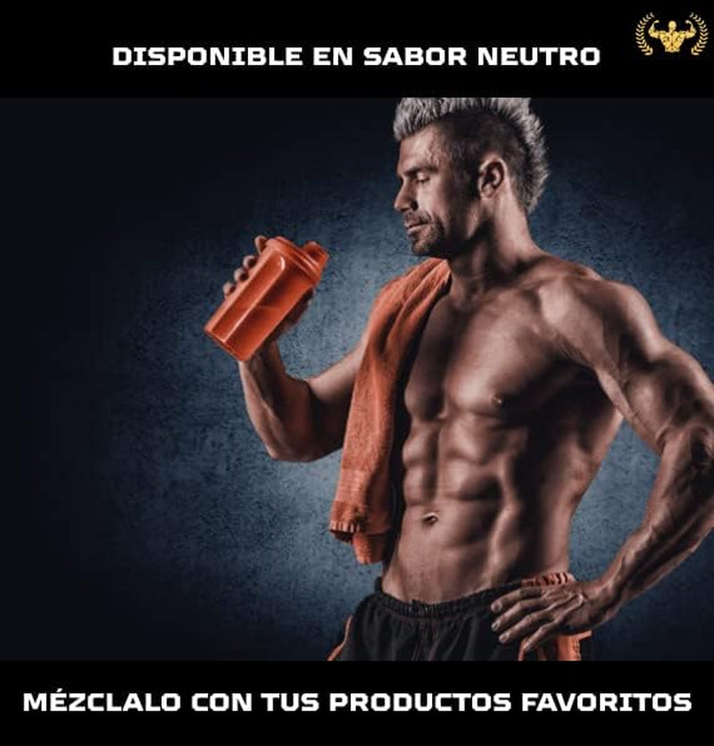 King Nutrition Creatina Monohidratada 100% Pura | 500GR | 166 Tomas | Creatina En Polvo, Micronizada 200Mesh Sin Sabor, No-Gmo | Vegano | Sin Lactosa | Incluye Dosificador